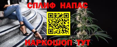 гашик Туймазы